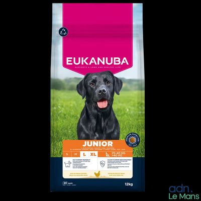 eukanuba junior large breed dog food