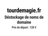 Photo 1/1 du lot