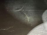 a blurry image of a snowman in the dark