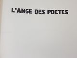 Photo 3/6 du lot