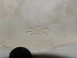 a white bowl with a skull and crossbone on it