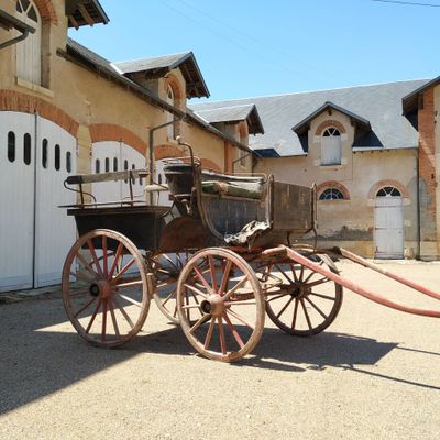 une calèche à laquelle est attaché un tuyau