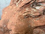 a statue of a lion that is sitting on the ground