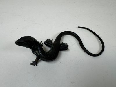un petit lézard noir posé sur une table