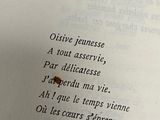 Photo 17/19 du lot