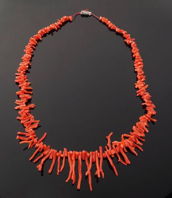 a necklace made of coral coral coral coral coral coral coral coral coral coral coral coral coral coral coral coral coral