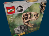 a box with a dinosaur skeleton inside of it