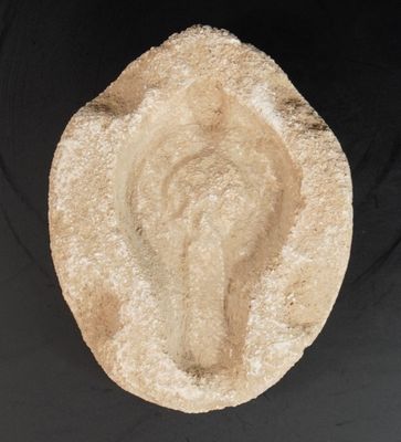 une image représentant un rocher sur lequel est sculpté un visage