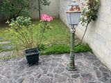 a potted plant in the corner of a stone patio