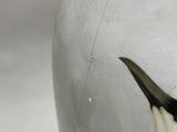 a white vase with a black and white design on it