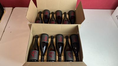 six bouteilles de vin sont posées sur une table dans un carton