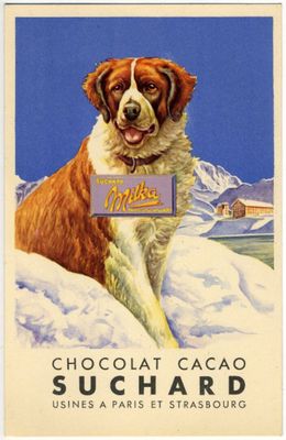 chien brun et blanc assis sur un sol recouvert de neige, tenant une pancarte