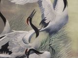 many birds that are standing in the grass together