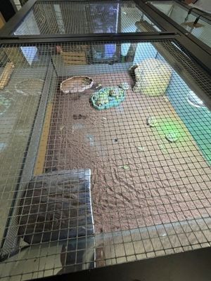 une table en verre sur laquelle est posé un bac à sable