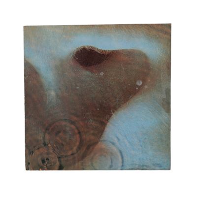 a picture of a painting of a teddy bear in a bathtub