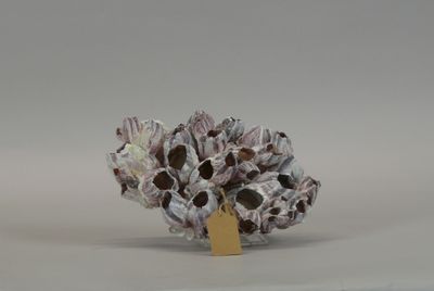 a paper flower that is sitting on top of a piece of paper