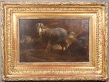 an oil painting of a sheep standing in a field with other sheep