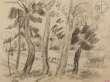 un dessin au crayon représentant des arbres dans la forêt