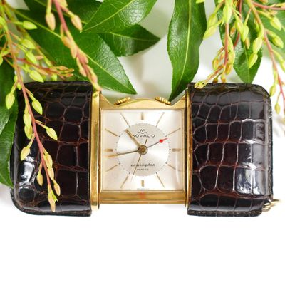 an image of a close up of a wrist watch with a plant in the background