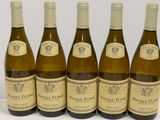 six bouteilles de vin sont alignées sur une surface blanche