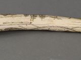 a small piece of ivory on a gray surface