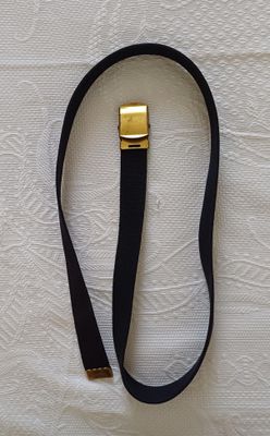 une lanière noire munie d'une boucle dorée