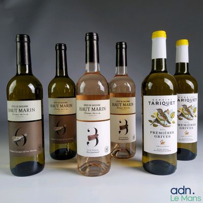 plusieurs bouteilles de vin sont alignées sur une table