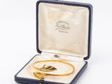 an image of a gold bracelet and ring in a blue case