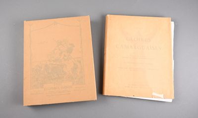 deux livres posés l'un à côté de l'autre sur une table