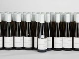 plusieurs bouteilles de vin sont alignées dans une rangée
