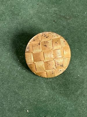 une image représentant un petit bouton en bois posé sur une surface verte