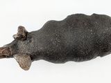 an image of a bull head mounted on a wall