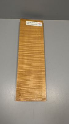 Fond en érable pour violon, ~39,5cm