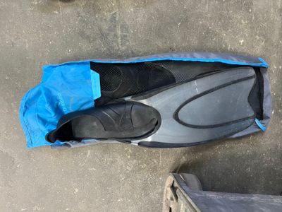 1 paire de palmes taille 42/43.