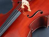 a close up of a violin on a black background