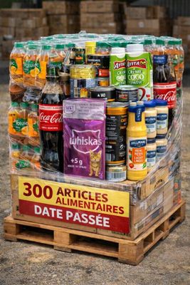 Palette de 300 articles alimentaires en date passée valable …