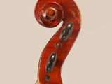 a close up of the back of a violin