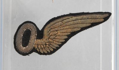 an image of a close up of a patch with a wing on it