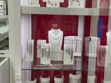 a glass display case with jewelry on it in a store