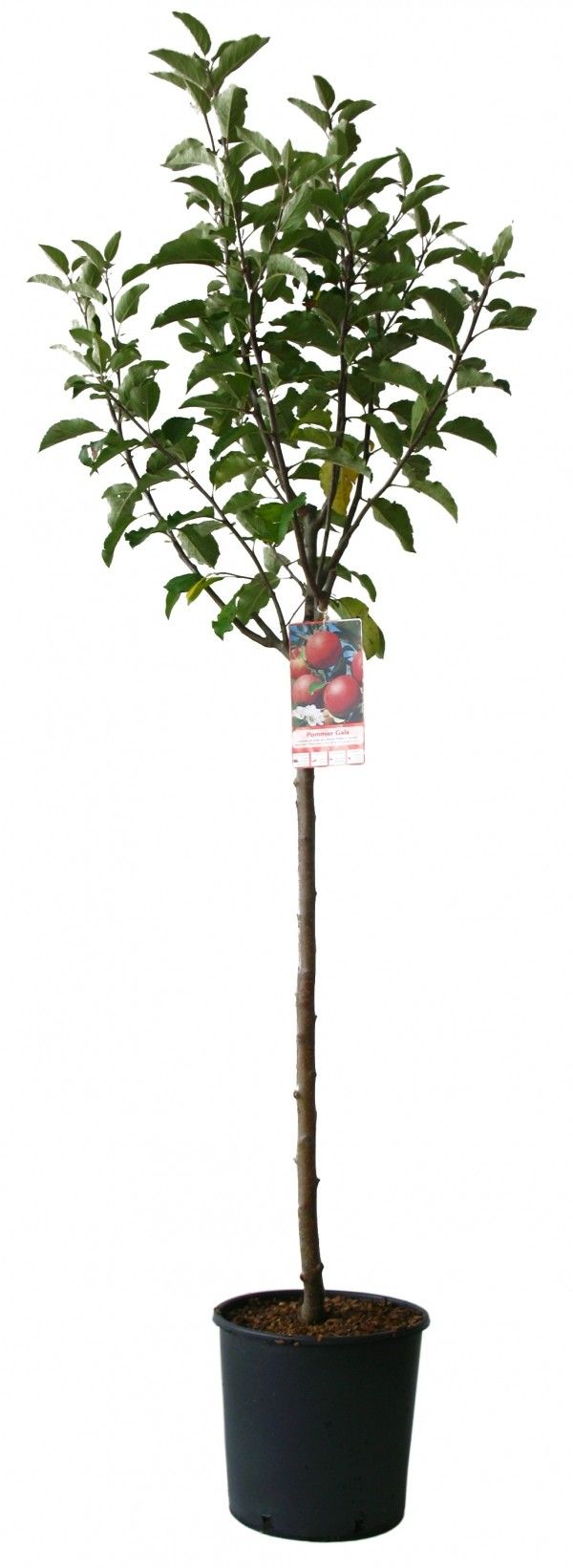 Destockage & Invendus