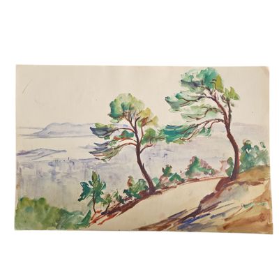 aquarelle représentant deux arbres sur une colline surplombant l'océan