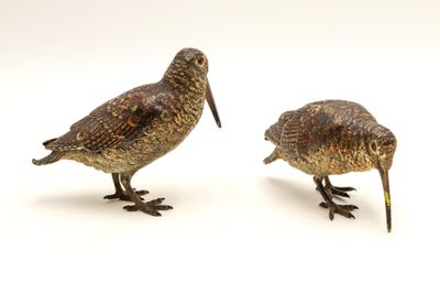 Deux petits oiseaux sont perchés l'un à côté de l'autre sur une surface blanche
