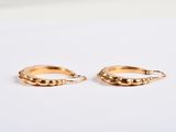 a pair of gold hoop earrings on a white surface