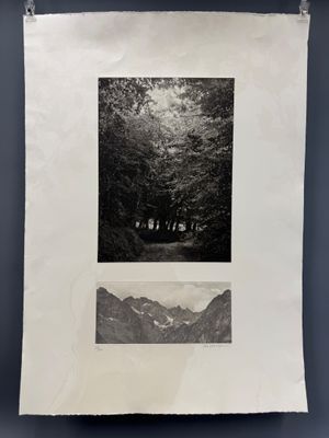une photographie en noir et blanc représentant une forêt et une montagne
