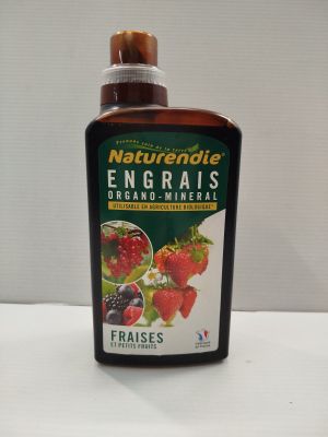 une image représentant une bouteille remplie d'un liquide contenant des fraises et des fraises