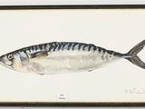 painting of a fish in a black frame on a white wall