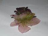 a flower that is sitting on a white table