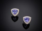a pair of tanzanite and diamond earrings