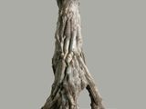 une image représentant une sculpture représentant un tronc d'arbre posée sur un socle blanc