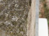 a small bird sitting on top of a cement bench